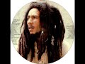 DUN DEM Bob Marley Chant Down Babylon Confrontation