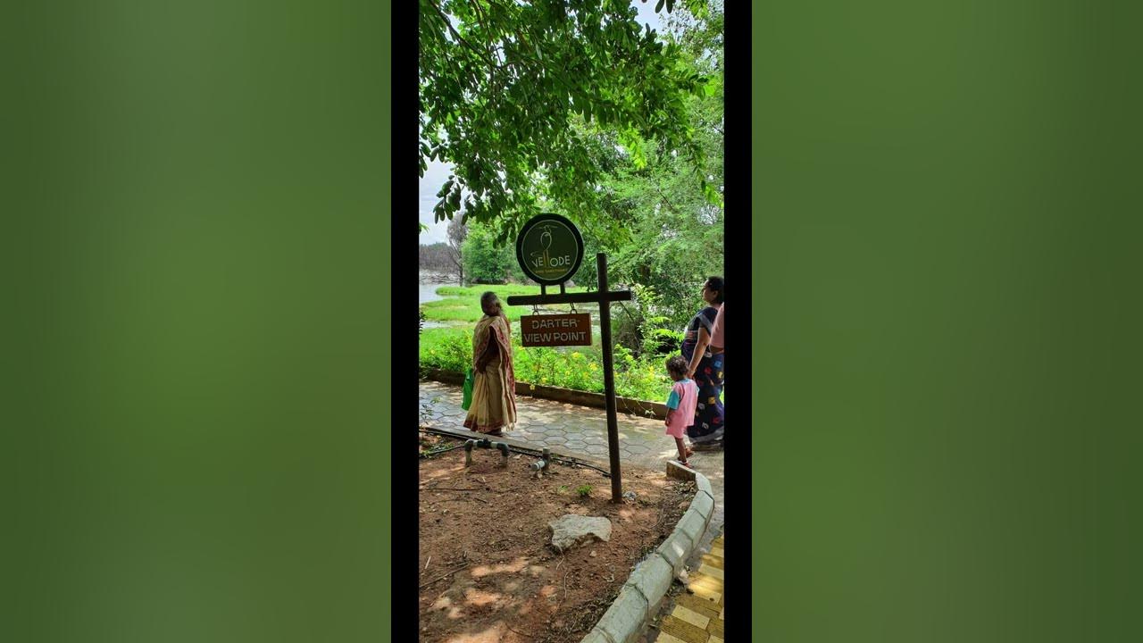 Vellode Birds Sanctuary | Picnic Spot near Erode | #Shorts 