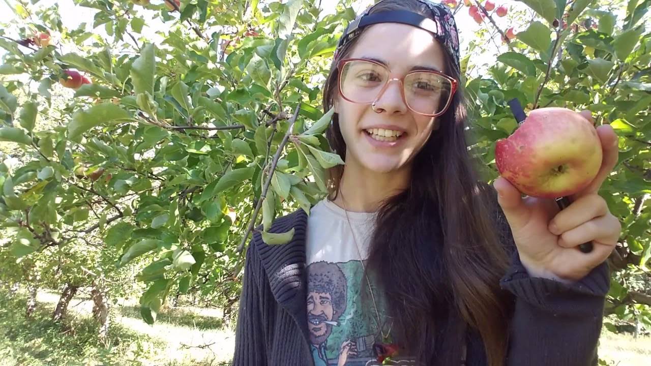 Smoke sesh in an apple orchard