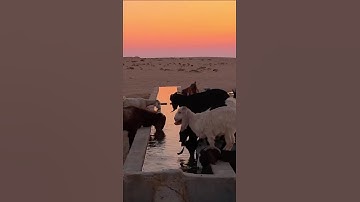 القرآن الكريم #القرآن_الكريم القر #اكسبلور #لايك #قران_كريم #راحة_نفسية #تلاوة_خاشعة
