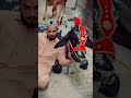 Eid Cow Allamaiqbal Misbahbintauqir 