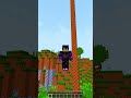 Minecraft, But Death = Realism