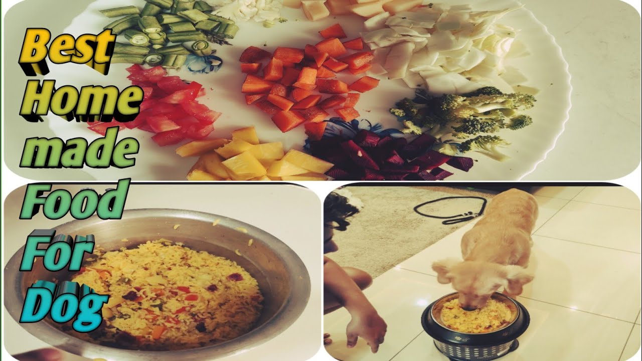 Homemade Dog Food Recipes Vet Approved Healthy Dog Food घर का खाना