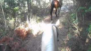 Horseriding in the mountains - Mallorca