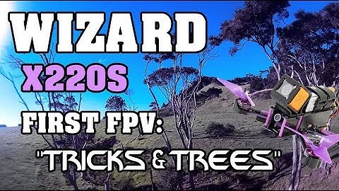 Wizard X220S FPV - My First Quadcopter Tricks and Trees