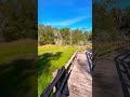#peacefulnature #hikinglife #floridaliving #naturesoundscapes
