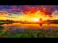 5k Virtual Nature 360° GOOD Morning 528Hz - Boost Your New Day Connected With Mother Nature