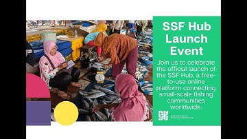 Video SSF Hub Global Launch Party 1AM UTC