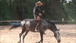 Academia Global Equus