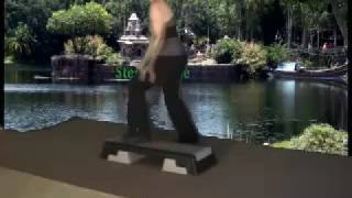 SJ's Easy Intermediate Step, Oct. 20, 2008