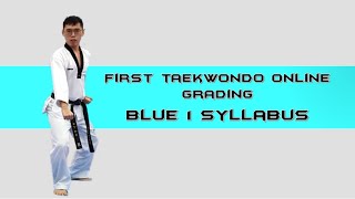 First Taekwondo Online Examination - Blue 1 Syllabus screenshot 2