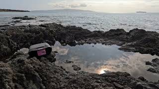 Maui 1866 - Grateful Cloud Pool I