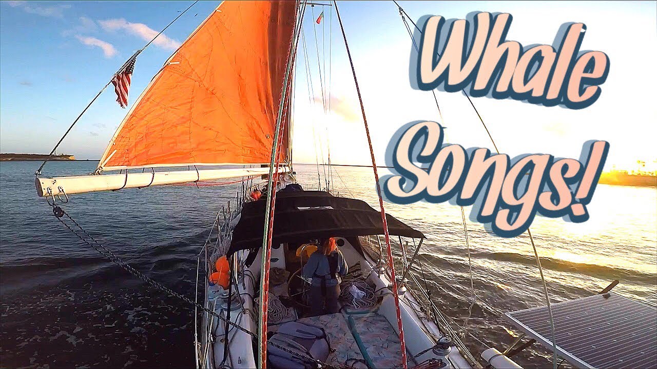 Sailing off Anchor to Spain | Sailing Wisdom [S4 Ep24]