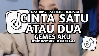 DJ CINTA SATU ATAU DUA X GEMES AKU SLOW BEAT VIRAL TIKTOK -DJ FEBRI 