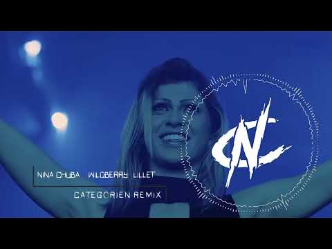 Wildberry Lillet ( Tiktok Mashup ) Nina Chuba \u0026 BACI feat Shrimp Cake