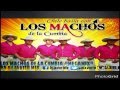 MEGAMIX LOS MACHOS DE LA CUMBIA 2014 BY DJ JAVIER MIX Alta calidad