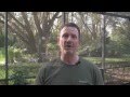 Internet marketing Orlando (407)331-8877 Top 3 Local Internet marketing tips
