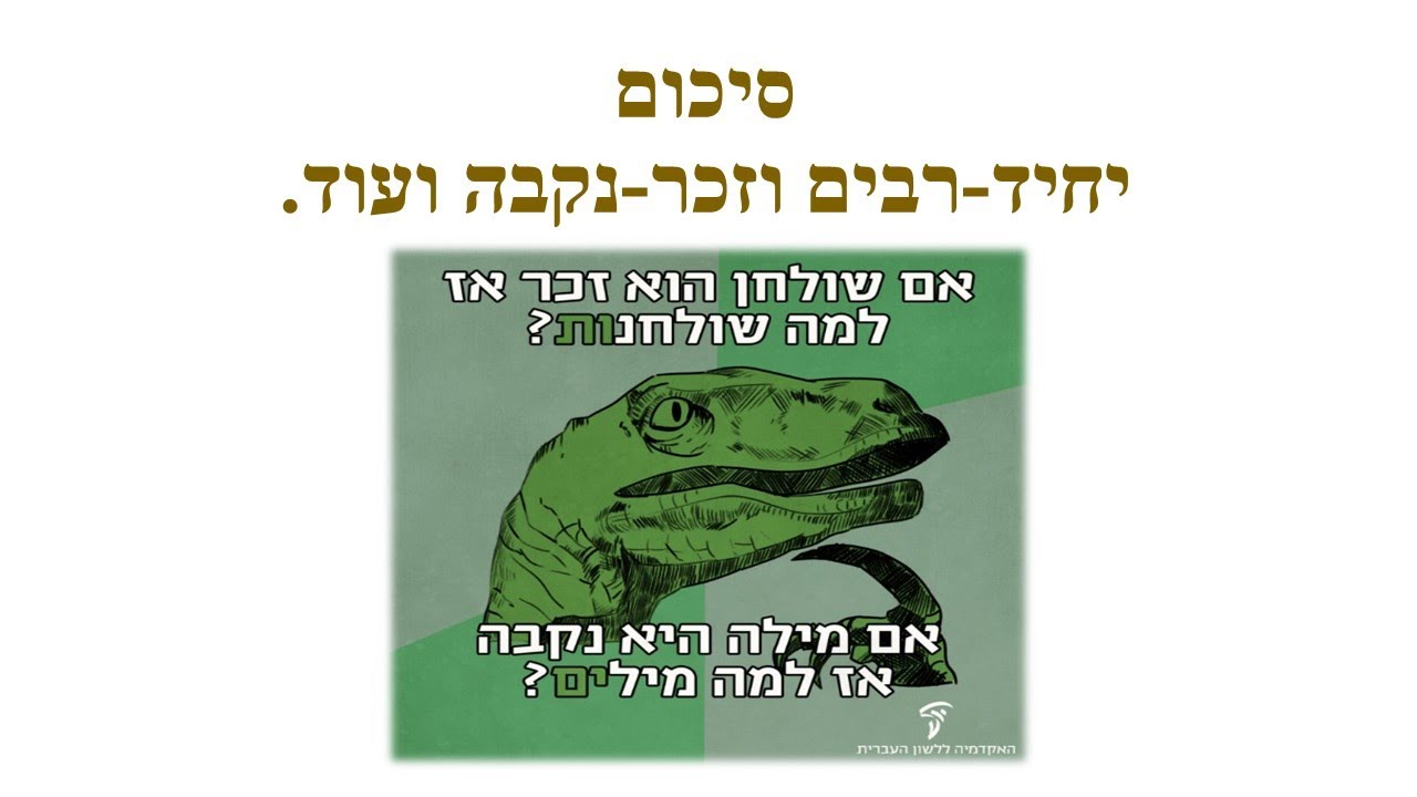 تلخيص المذكر والمؤنث وصيغة الجمع  الشاذة باللغة العبرية