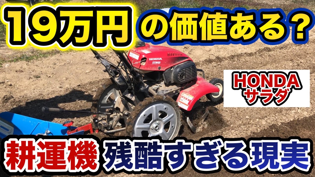 耕運機 おすすめ】ホンダ サラダ FF300を5年使ってみた正直な感想