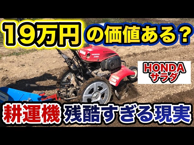 Recommended Tiller] My Honest Review After Using the Honda Salad