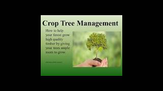 Crop tree release