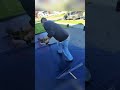 #asmr #powerwashing #driveway #satisfying