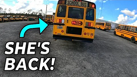 Bus Vlog - She's Back