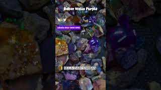 Kalimaya Purple Bos Gaskeunkalimaya bonsai viral trending jarong