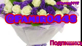 @Pamir0448 Afgoni.Ахмад Тохири##