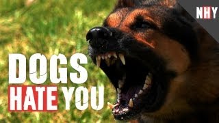 DOGS HATE YOU!