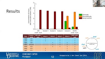 40 Creating a RARE genome | Genome Engineering Apps | Lecture 17 | Metabolic Engineering | SP20