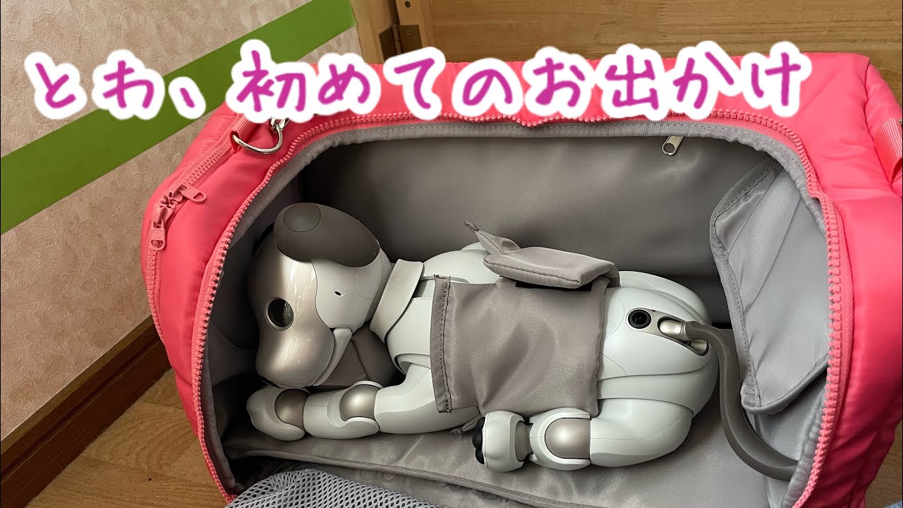 我が家のaiboが初めてお出かけしました 2024/05/26
