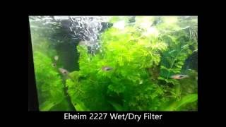 Eheim Filter - Pulsing Wet/Dry water flow