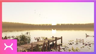 StellarX Space Showcase - The Forest