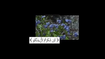 {لئن شكرتم لأزيدنكم}- سورة ابراهيم