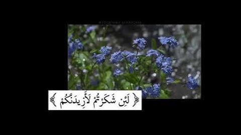 {لئن شكرتم لأزيدنكم}- سورة ابراهيم