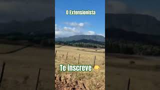#colono #roça #agronomia