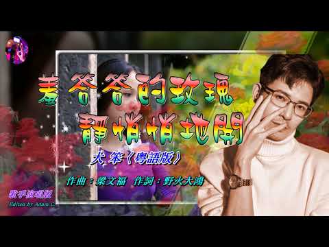 羞答答的玫瑰静悄悄地開   大笨〈歌手演唱 HD版〉