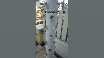 Balkon Disulap jadi Produktif !!!