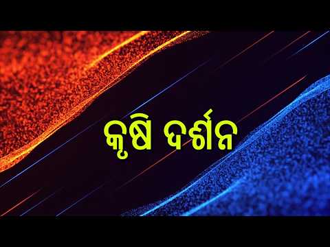 Krushi Darshan || କୃଷି ଦର୍ଶନ || ପିଜୁଳି ଏବଂ ପାନ ଚାଷର ଆଧୁନିକ ପ୍ରଣାଳୀ || 17th August 2026