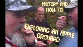 Exploring and Apple Orchard, History and How To!