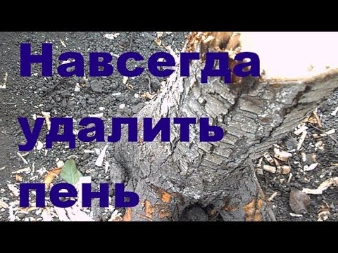 Как легко и без усилий избавиться от ненужного пня / Easy Way to Remove Tree Stumps