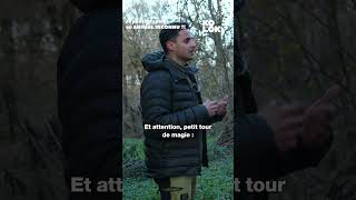 On A Survécu À 2025 Best Of Kolok