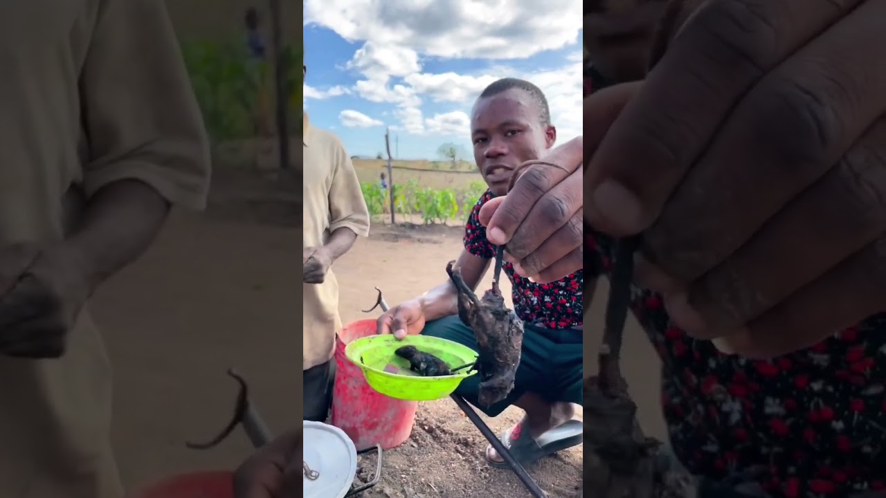 Você sabia que existem pessoas que comem ratos? - Missão Humanitária em Moçambique - África