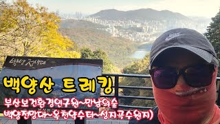 백양전망대 영상