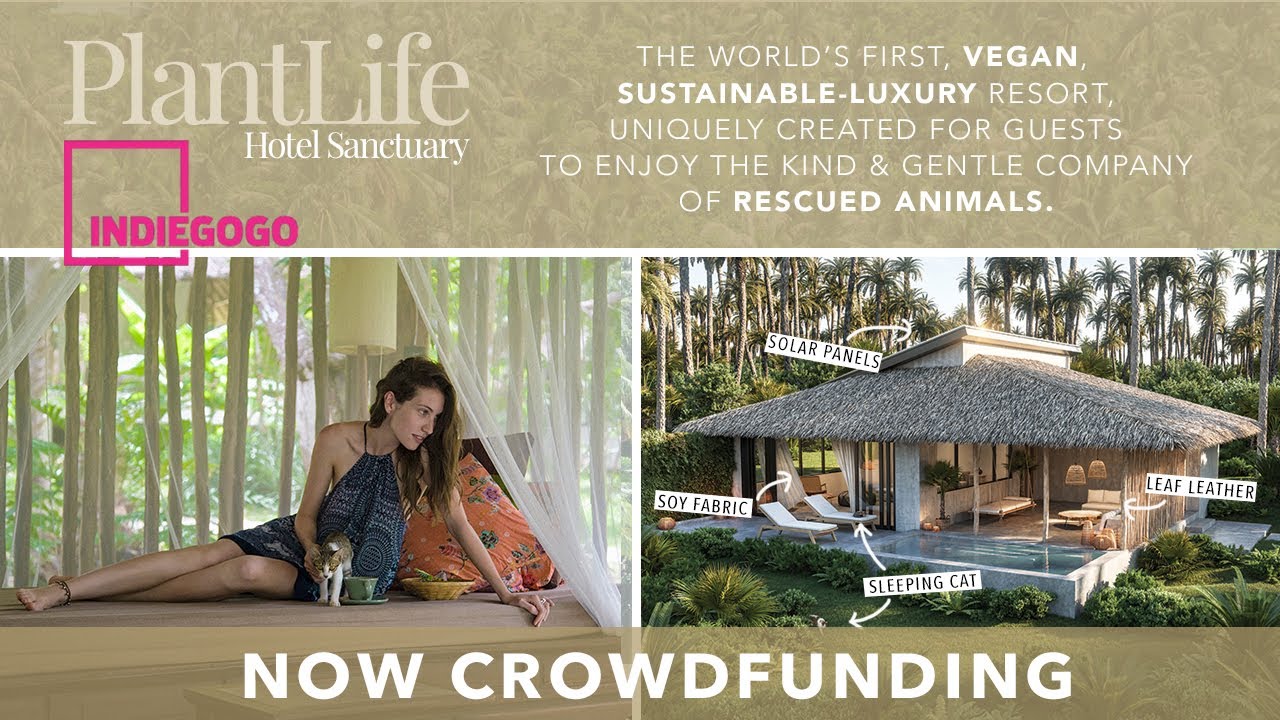 PlantLife: The World's First Vegan, 100% Solar Powered, Luxury Resort