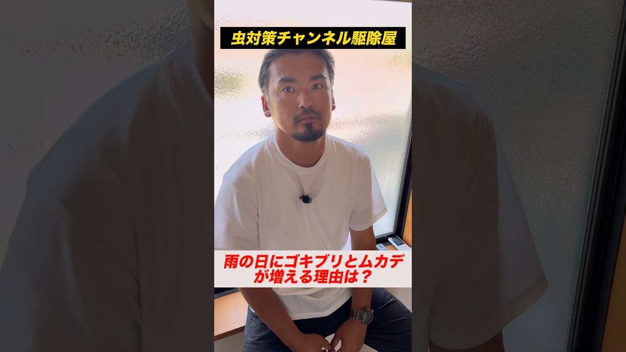 雨はゴキブリやムカデを増やす。。。