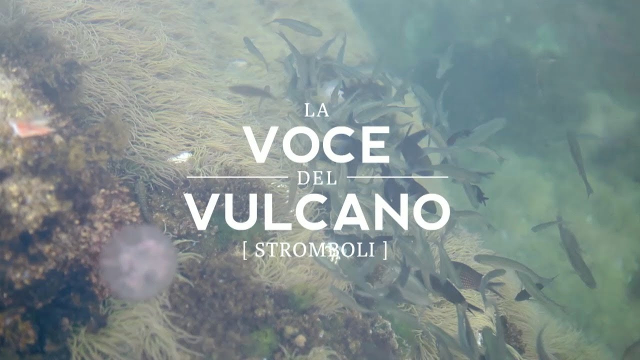 La voce del vulcano