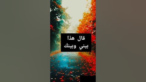 تلاوات قصيره جدا للشيخ محمد أسامه Mohamed osama, koran kareem (3)