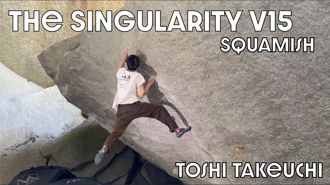 The Singularity V15 - Toshi Takeuchi